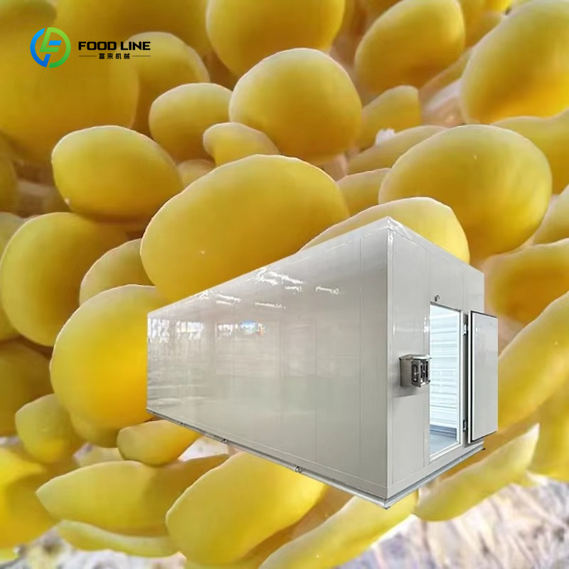 Sistema di Coltivazione Automa - Agriculture Farming Technology recensione e prezzo